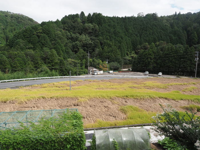 小雨のち晴れ間_c0116915_23441073.jpg