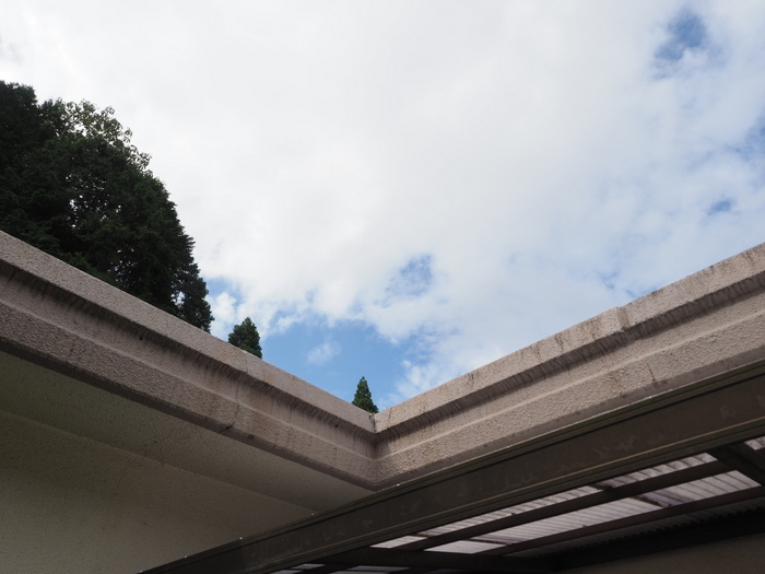 小雨のち晴れ間_c0116915_23443856.jpg