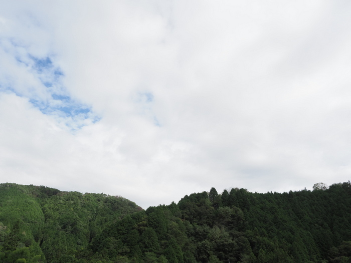 小雨のち晴れ間_c0116915_23445680.jpg