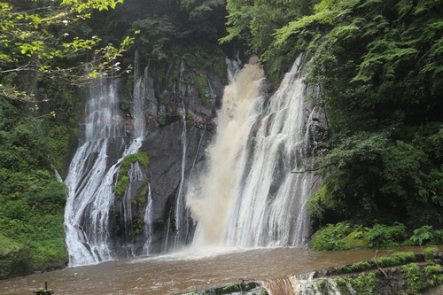 アケボノシュスランを見たくて、白水の滝へ！_e0272335_1617242.jpg