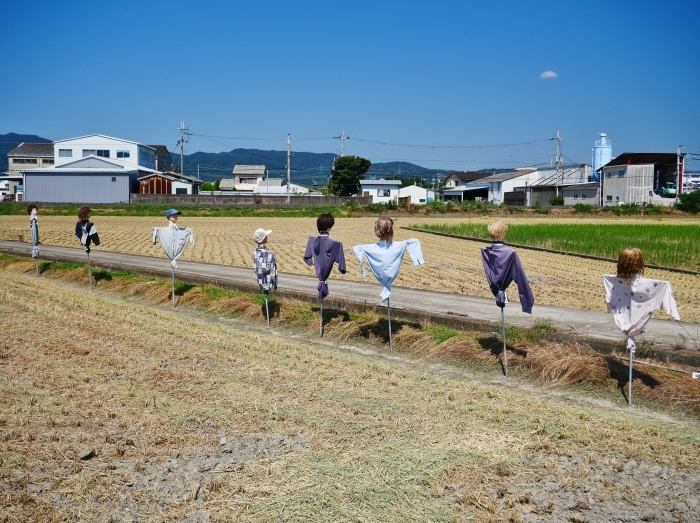　　その後の案山子　　２０２０-０９-２８　００：００_b0093754_21203385.jpg