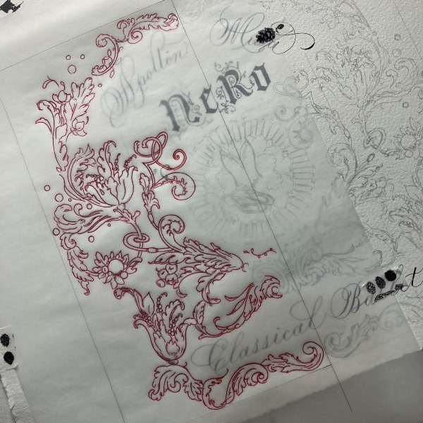 バレエカンパニーNeRo 第一回旗揚げ公演_b0165872_20433256.jpg