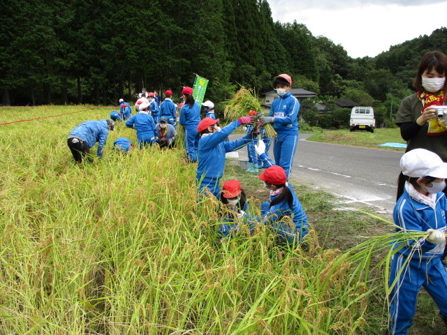 稲刈りについて(月光原小・西根小)_d0247484_11463723.jpg