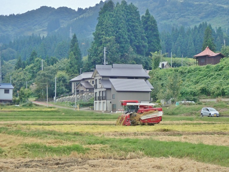 間もなく稲刈りが終わります_c0336902_15220509.jpg