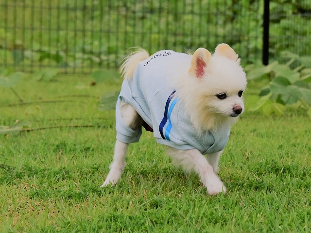 これからきっと必要になる_d0360206_22552635.jpg