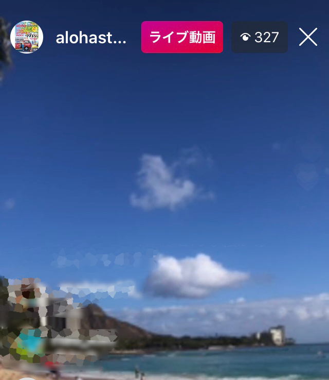 パンダのお気に入り パンダのお気に入り