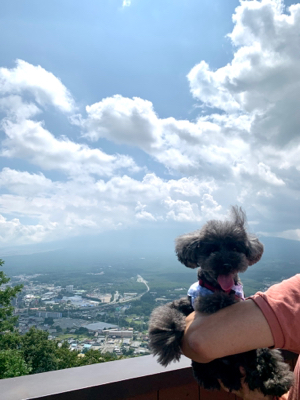 夏の思い出②_f0167026_16261046.jpg