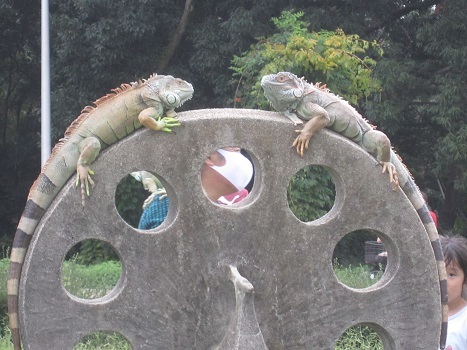 お揃い~_b0177436_22175290.jpg