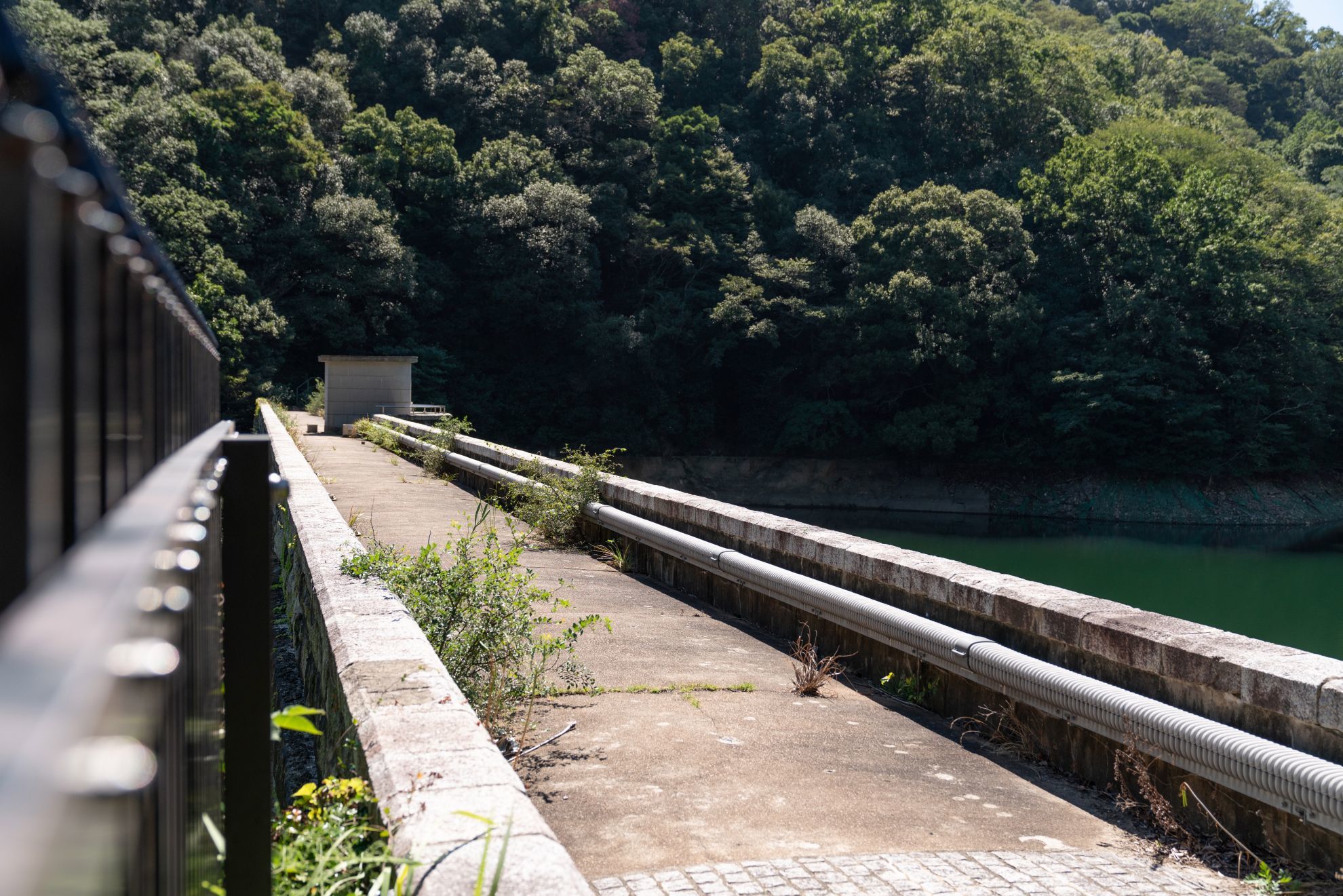 【重要文化財|布引水源地水道施設】 五本松堰堤、放水路隧道、締切堰堤 (神戸市) 重要文化財_b0212342_15051779.jpg