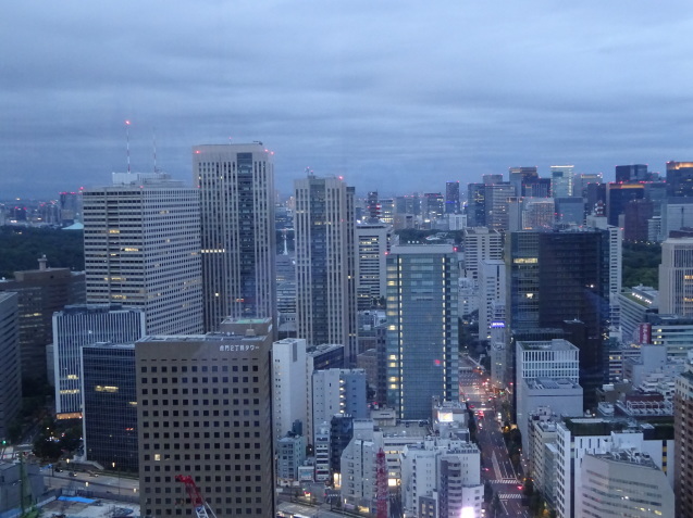 東京エディション虎ノ門 (4) プール、ジム、夜_b0405262_08381736.jpg
