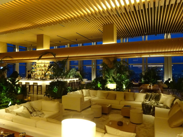 東京エディション虎ノ門 (4) プール、ジム、夜_b0405262_08385081.jpg