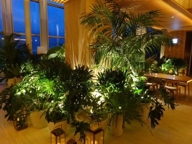 東京エディション虎ノ門 (4) プール、ジム、夜_b0405262_08392321.jpg