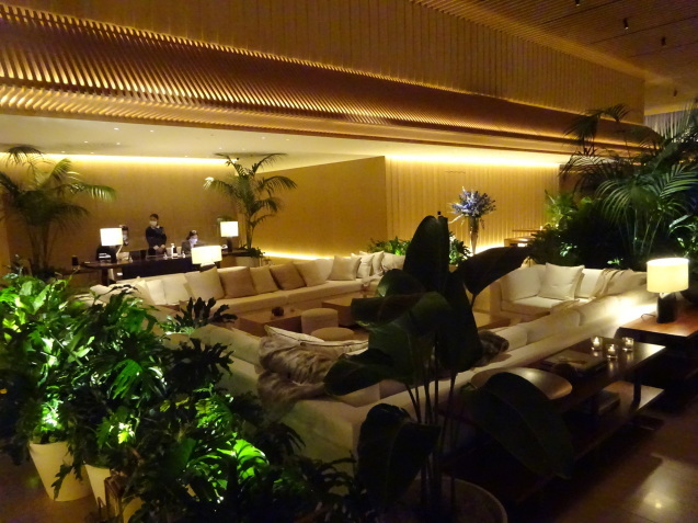 東京エディション虎ノ門 (4) プール、ジム、夜_b0405262_08405892.jpg