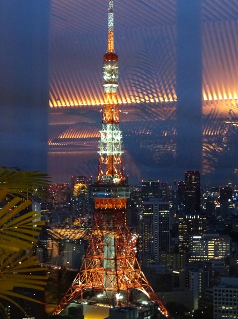 東京エディション虎ノ門 (4) プール、ジム、夜_b0405262_08411938.jpg