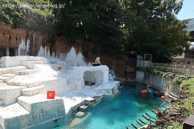 2020年8月 天王寺動物園 その4_a0052986_7353837.jpg