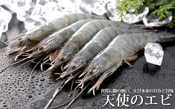 感謝!来る10月2日天使の日の過ごし方とは! #139_d0393497_19463526.jpg