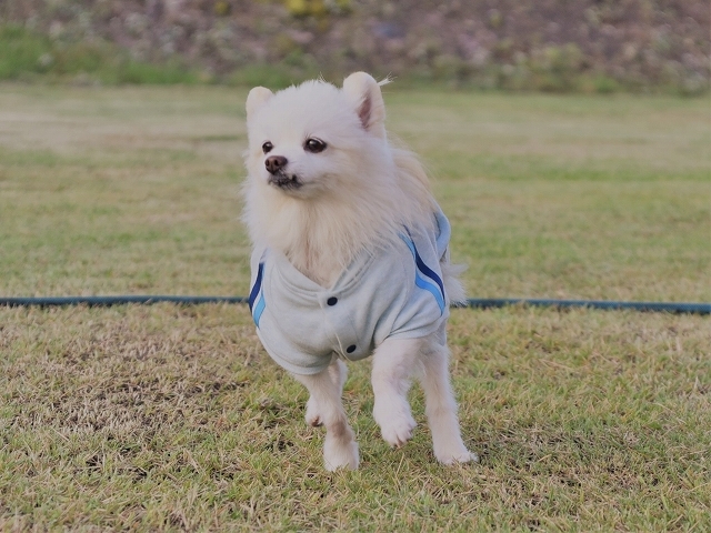 なにか良いことありそうな_d0360206_22124520.jpg