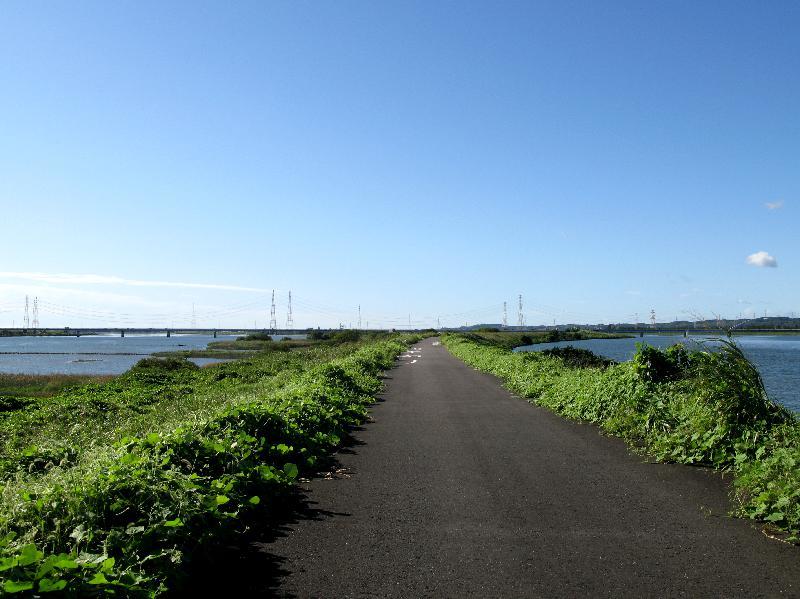 ノープラン・・・背割りとか_b0000209_18350463.jpg