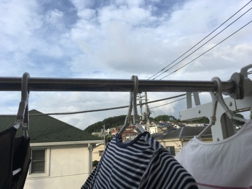 ニトリの洗濯ハンガー_f0369014_10395995.jpeg