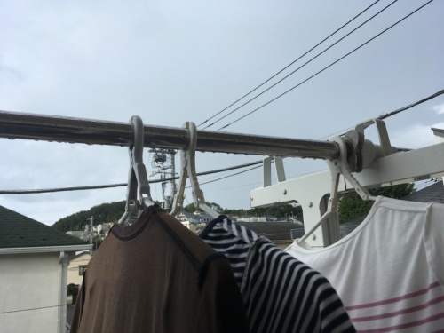 ニトリの洗濯ハンガー_f0369014_10402932.jpeg