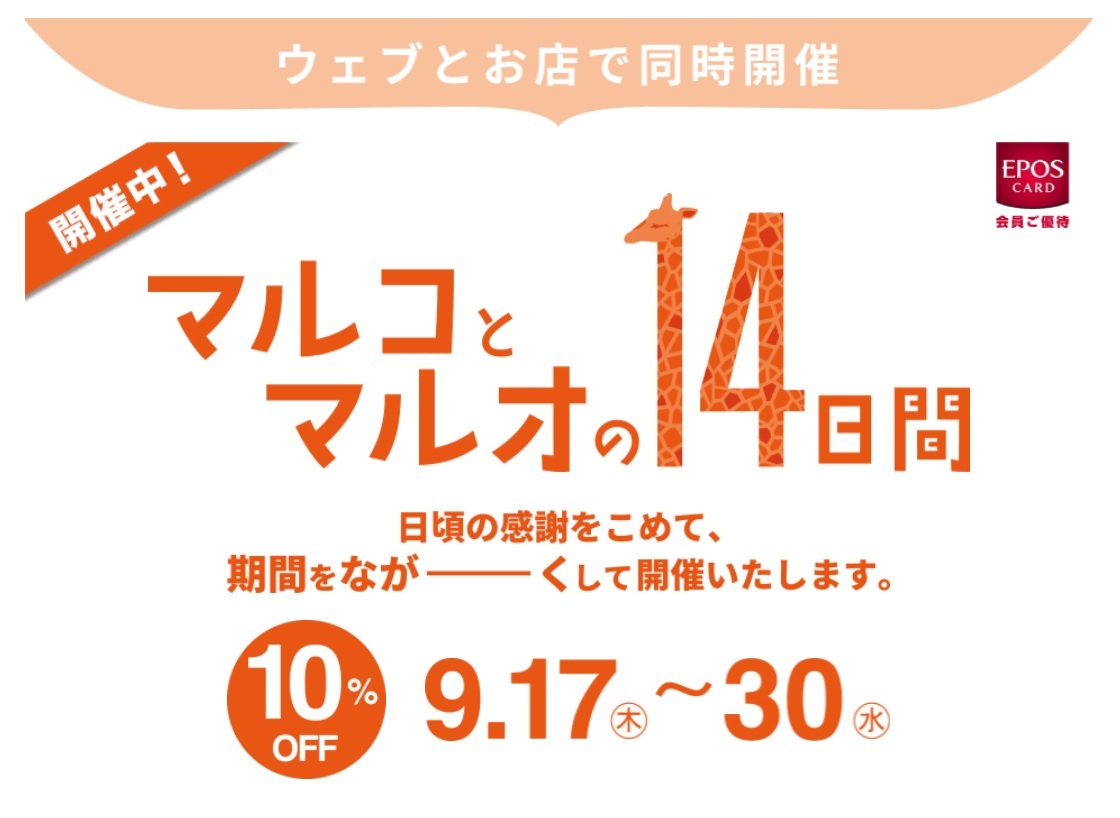 蜘蛛の巣の帯が入荷しました！_e0167832_15451453.jpg