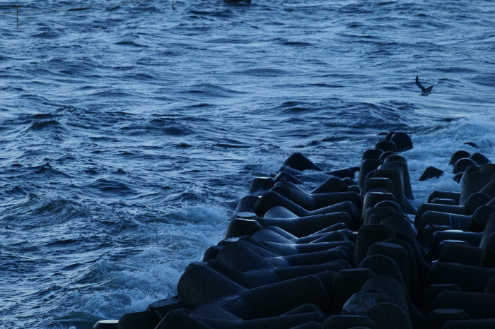 海ほたる２　　LUMIX S5_f0050534_15105832.jpg