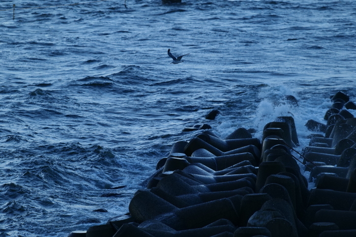 海ほたる２　　LUMIX S5_f0050534_15113335.jpg