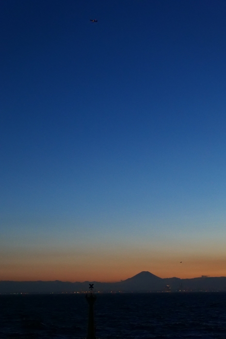 海ほたる２　　LUMIX S5_f0050534_15125619.jpg