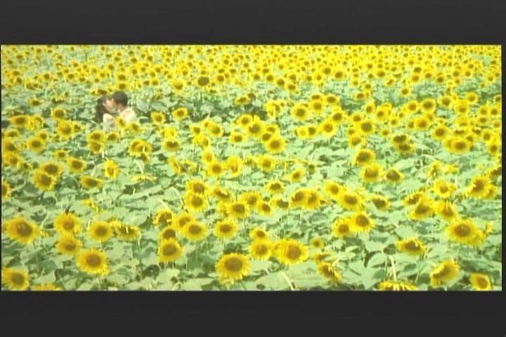 竹内結子 追悼 いま 会いにゆきます 過去の映画感想 Pm Riders