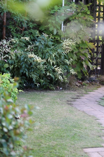 3度目 ｂａｌｌａｄｅ 花物語