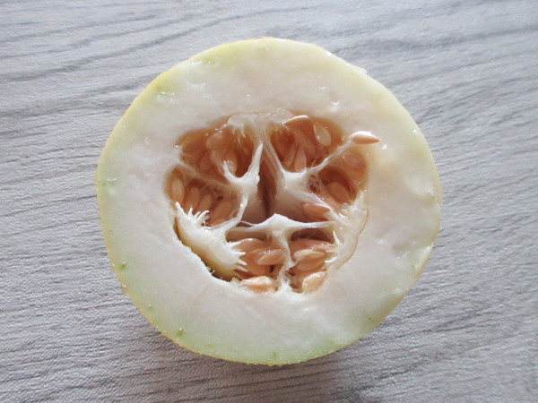 黄石瓜(こうせきうり)_c0152767_16310963.jpg