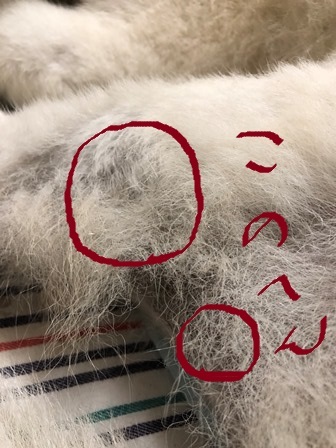 痒みとお薬_c0257276_10442379.jpg