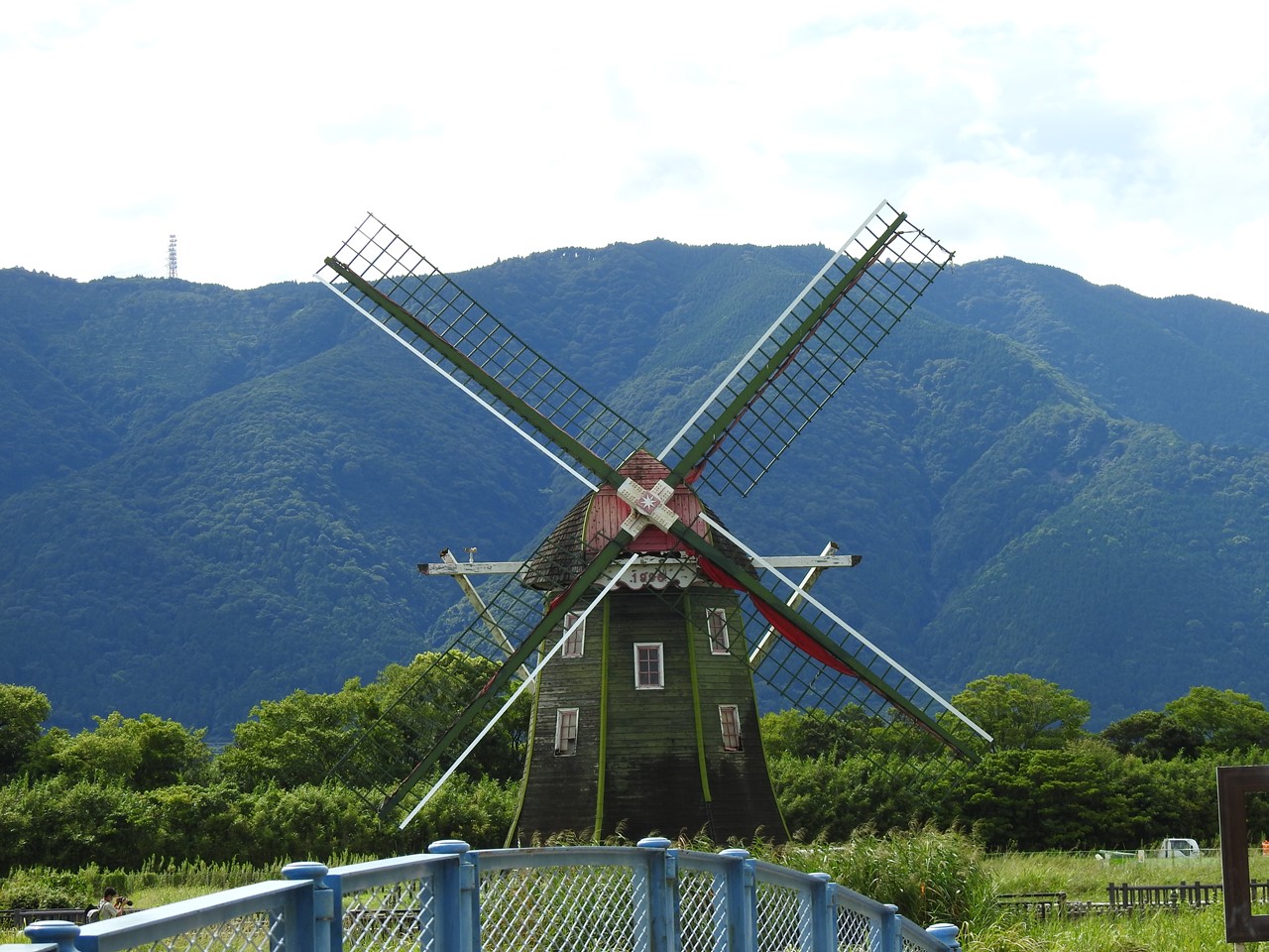 鬼蓮 オニバス の咲く風景 自然風の自然風だより