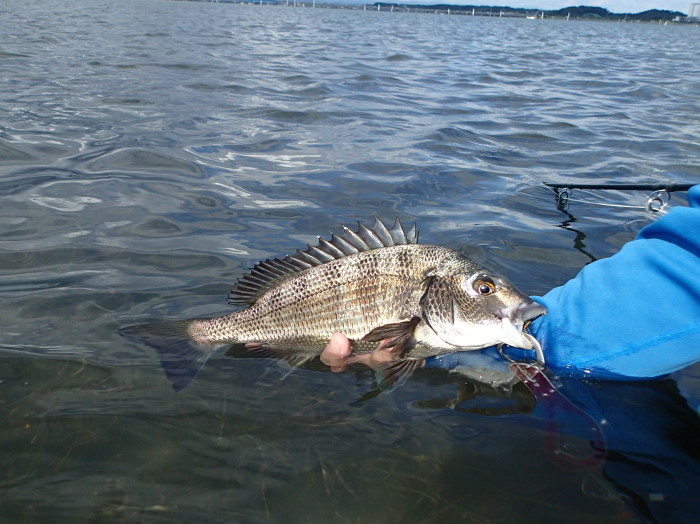 秋めく浜名湖、フラットにて。_c0197578_00004345.jpg