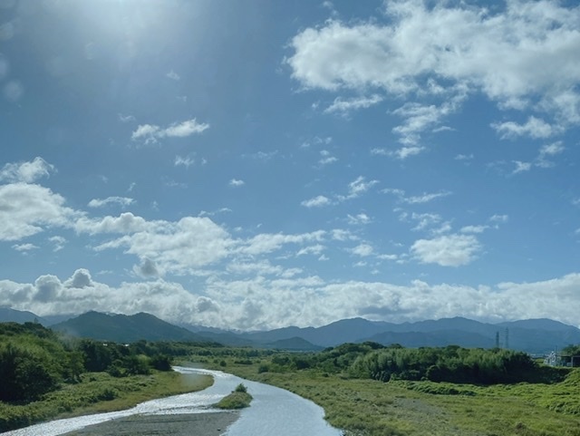 昨日描いた山手通りの動画_f0253789_08325583.jpeg