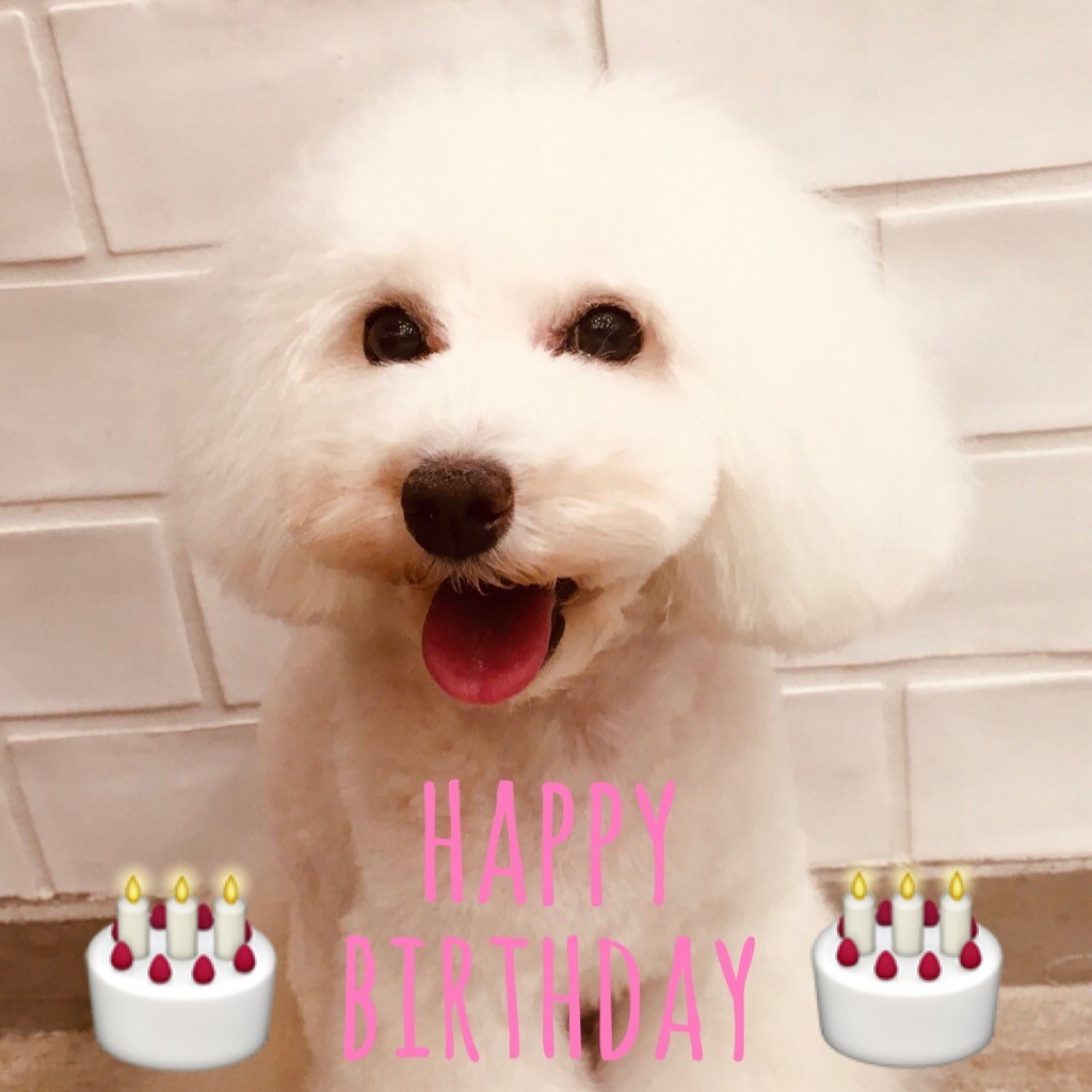 ☆ Happy Birthday ・ モアナちゃん ☆_d0060413_16145215.jpg