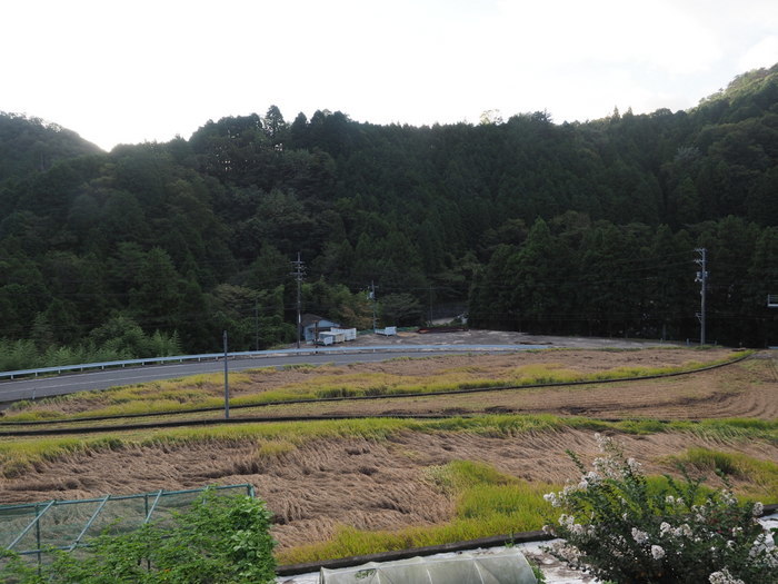 今日も晴れ_c0116915_00164599.jpg