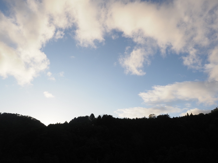 今日も晴れ_c0116915_00194109.jpg