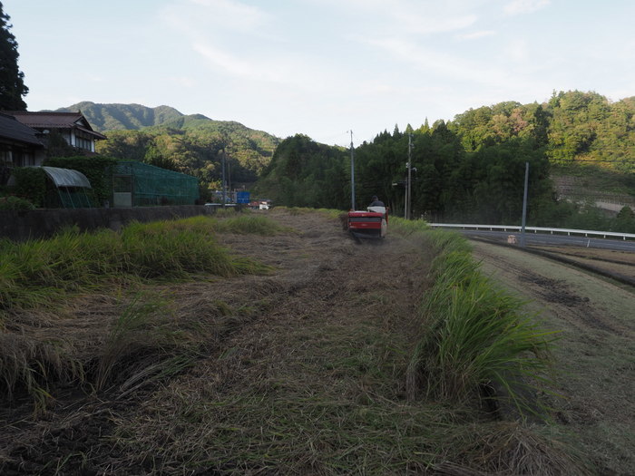 今日も稲刈り_c0116915_23332867.jpg