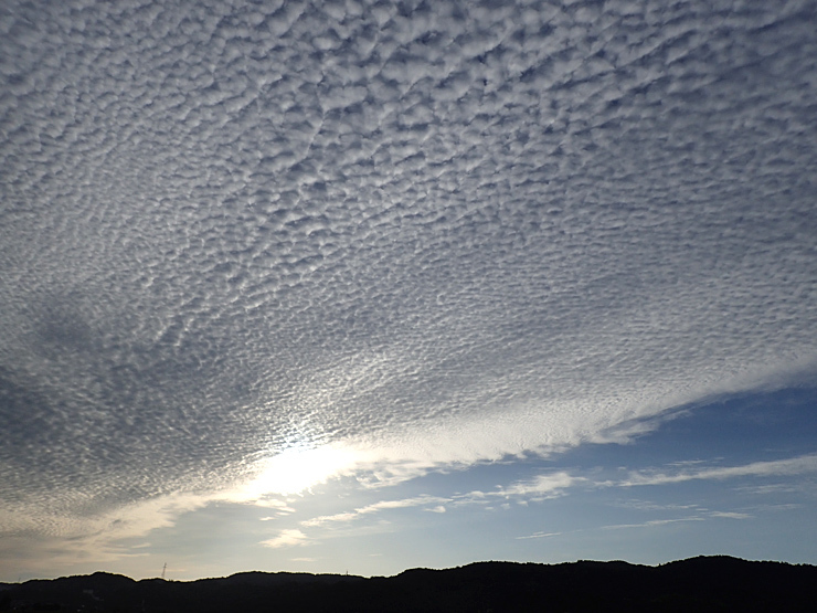 彼岸花_f0214649_19293849.jpg
