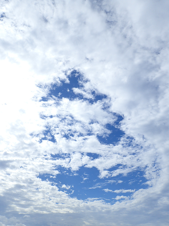 彼岸花_f0214649_19404890.jpg