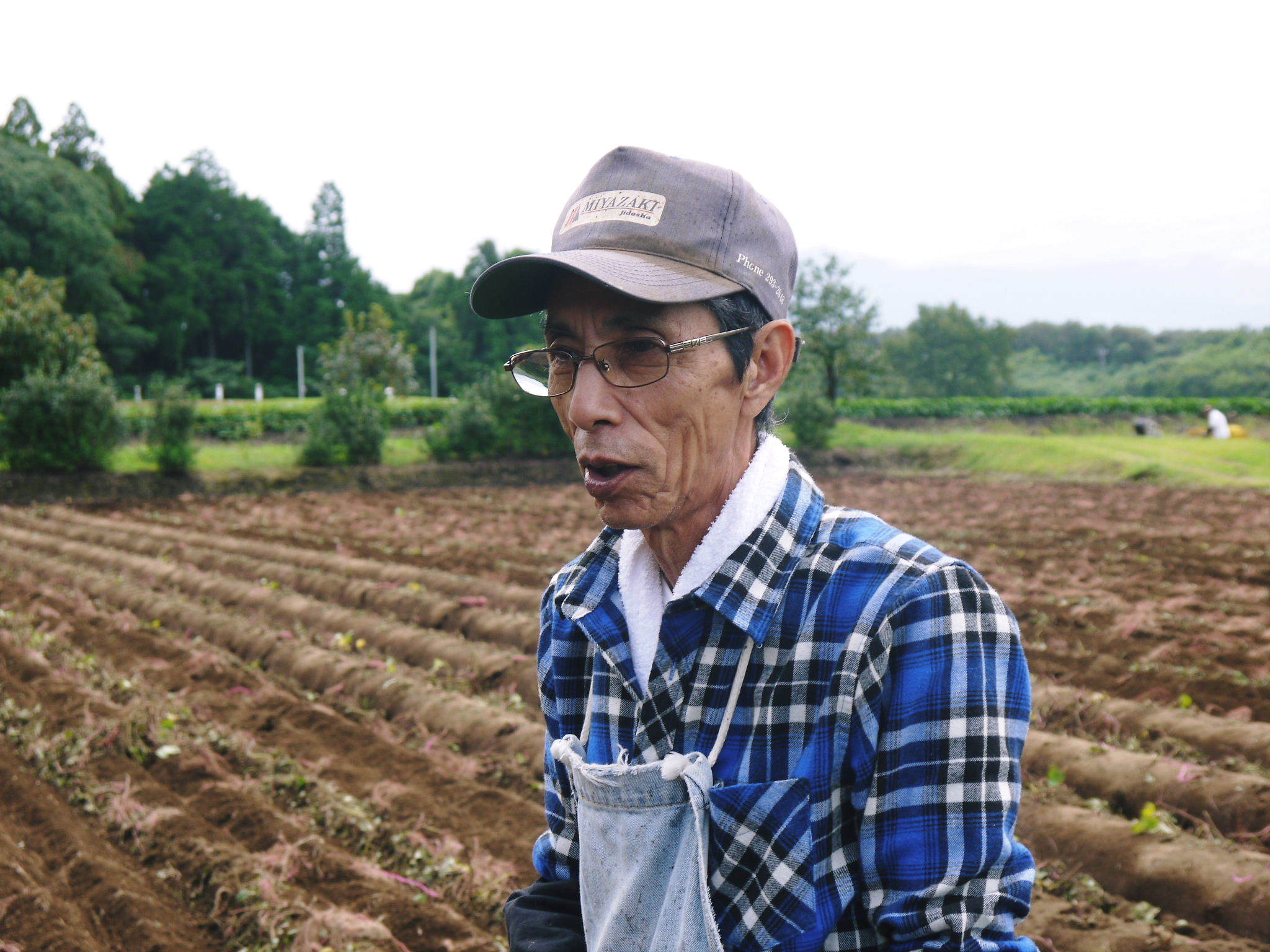 熊本産大津甘藷『からいも(サツマイモ)』 収穫(芋ほり)の様子を現地取材!(前編)_a0254656_18585851.jpg