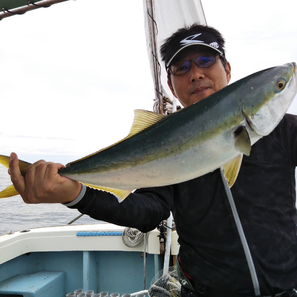 大鱗 カンパチ ハマチ まんぼう 大鱗 釣果ブログ