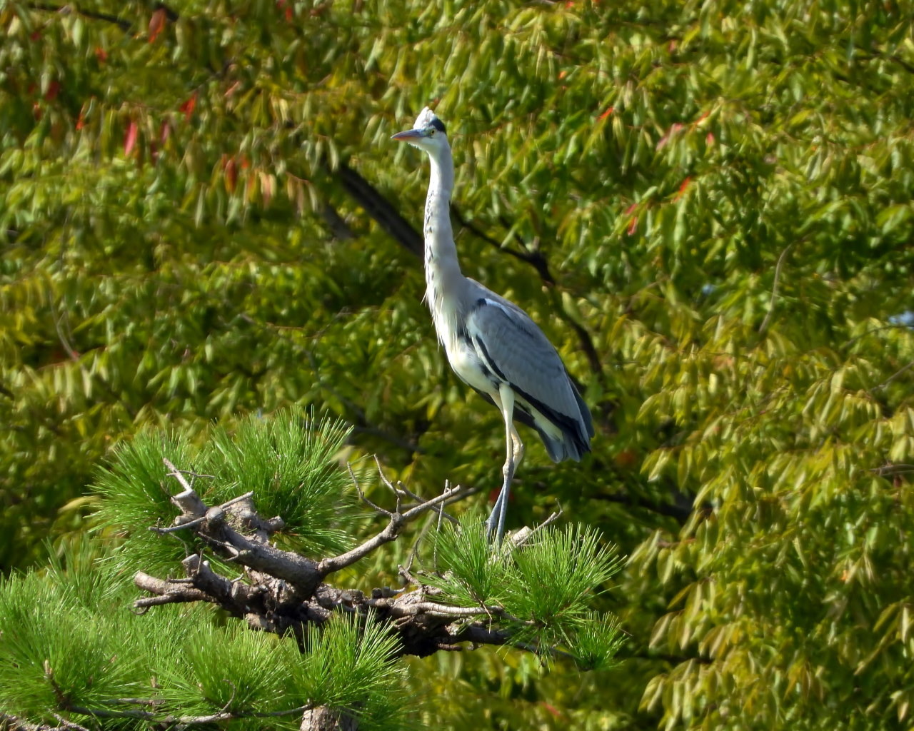 三ツ寺公園で 手あたり次第に📸_c0305565_17181185.jpg
