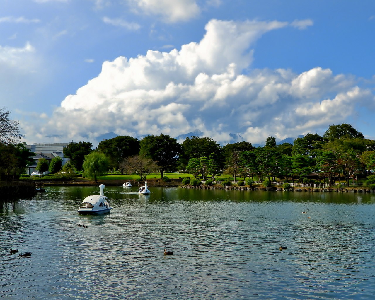 三ツ寺公園で 手あたり次第に📸_c0305565_17215484.jpg