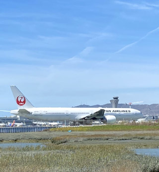 サンフランシスコ国際空港(SFO)を眺めながらお散歩☆_c0063182_00585847.jpg