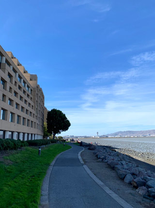 サンフランシスコ国際空港(SFO)を眺めながらお散歩☆_c0063182_00591246.jpg
