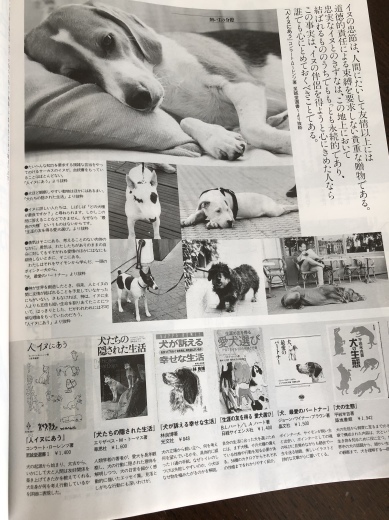 ファッション誌「ヴァンテーヌ」_a0213806_19220619.jpeg