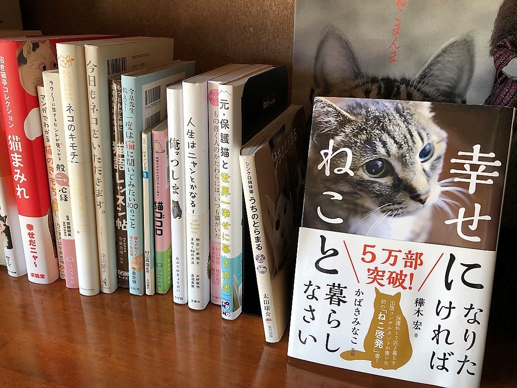 奥嬬恋温泉 ふる里の宿 千川旅館 花いち 宿泊記 ずっとそばに 奥嬬恋温泉 ふる里の宿 千川旅館 花いち 宿泊記 ずっとそばに