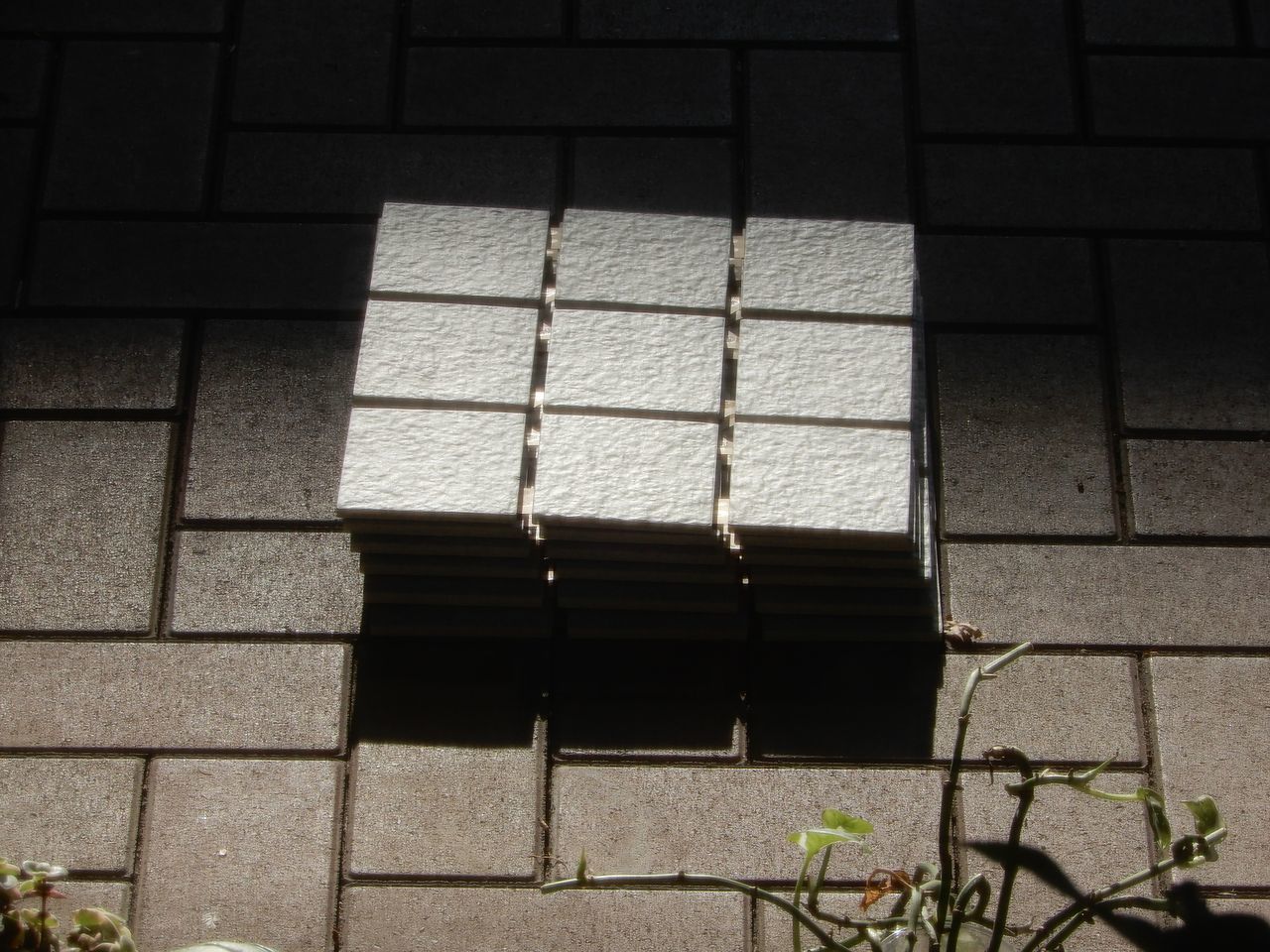 秋が進行中_c0025115_21291265.jpg